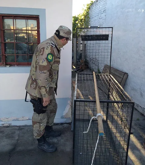 WhatsApp Image 2023-10-28 at 07.27.44