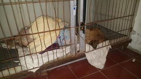 IMG-20190710-WA0013