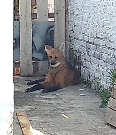 WhatsApp Image 2023-10-28 at 07.27.47