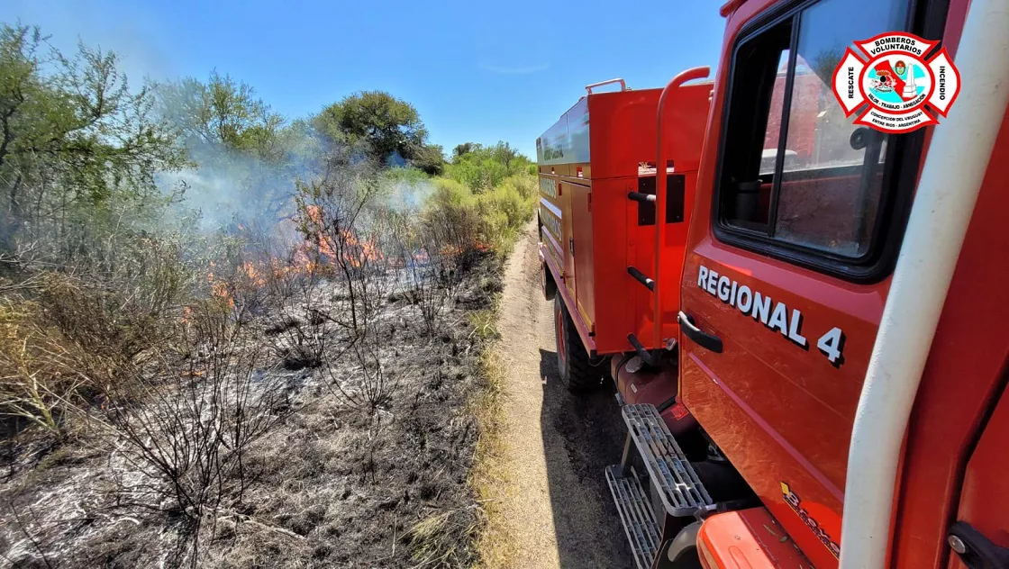 WhatsApp Image 2023-01-17 at 19.27.18(1)