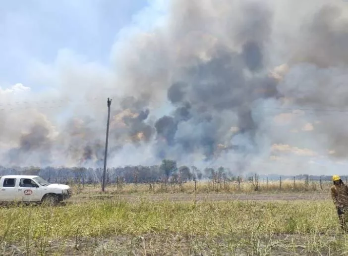 WhatsApp Image 2023-01-17 at 19.27.18