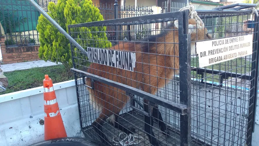 WhatsApp Image 2023-10-28 at 07.27.47(1)