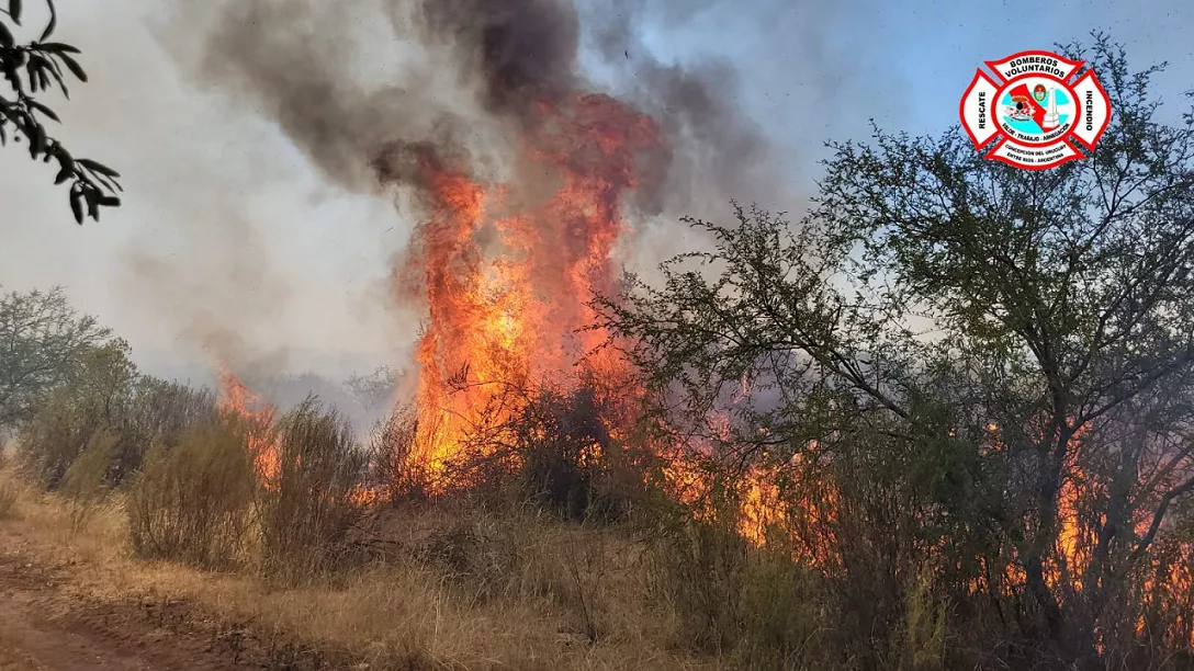 WhatsApp Image 2023-01-17 at 19.27.13