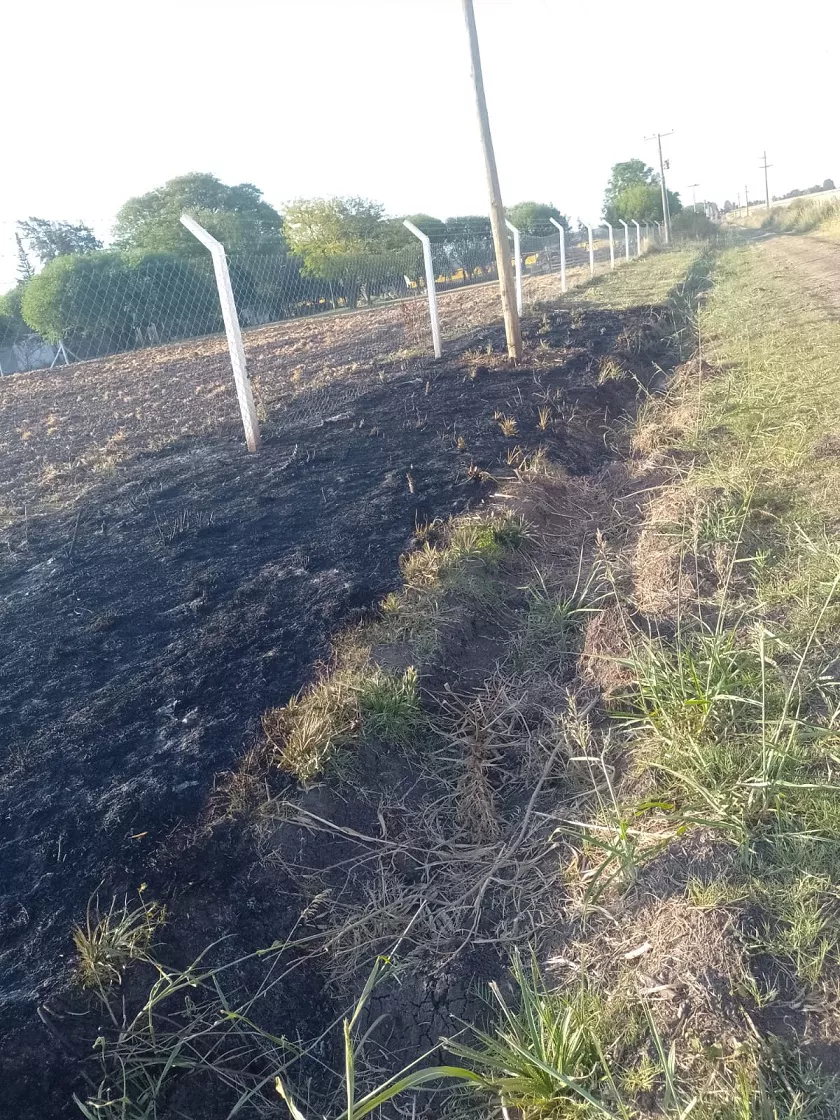 WhatsApp Image 2022-12-30 at 18.48.52