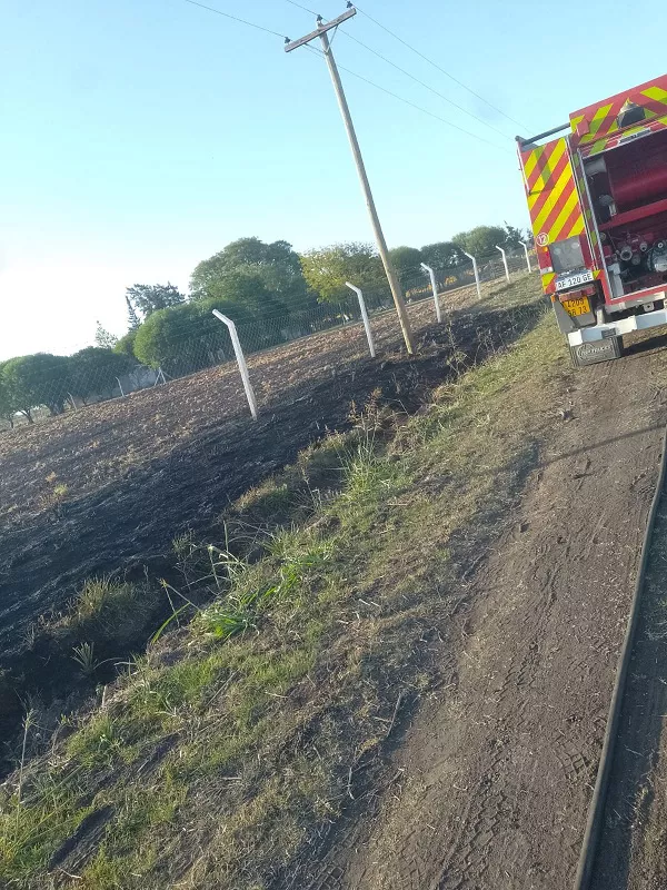 WhatsApp Image 2022-12-30 at 18.48.51