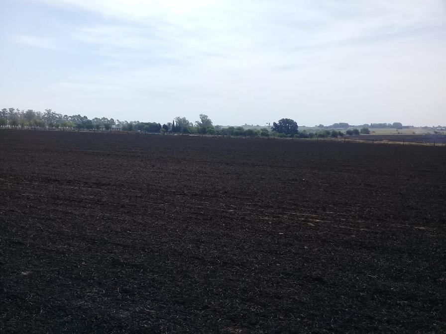 incendio rastrojo 07