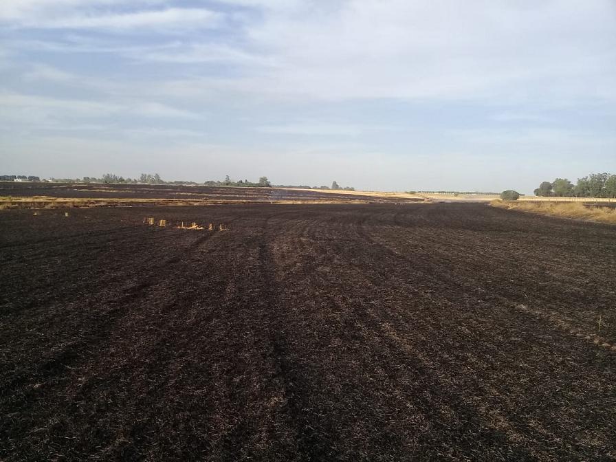 incendio rastrojo 08