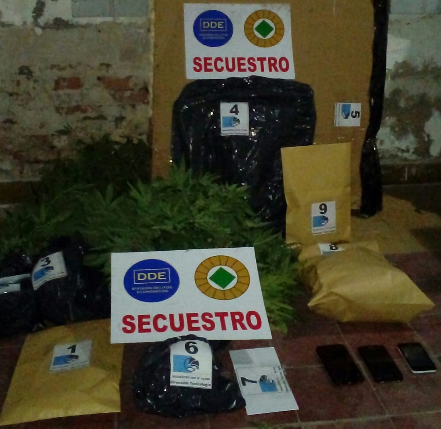 Incautación vivero 00