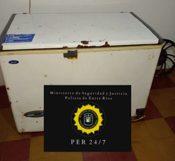 WhatsApp Image 2024-05-17 at 18.14.37