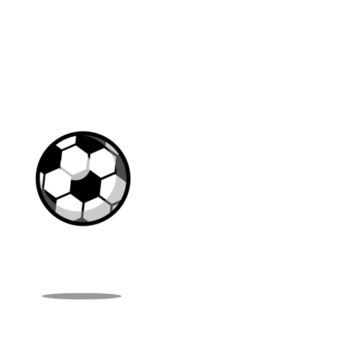 pelota