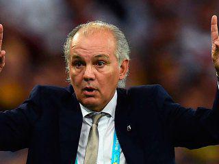 sabella