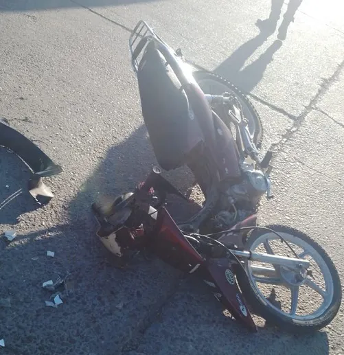 WhatsApp Image 2026-02-02 at 20.35.45