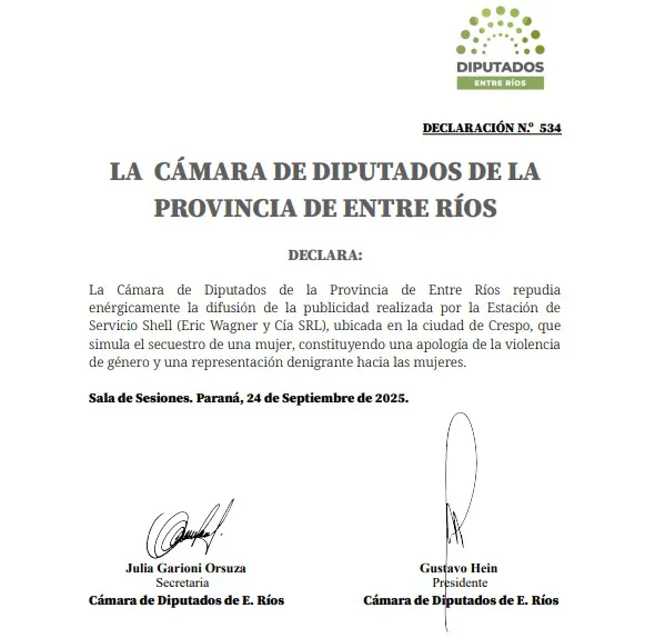 Declaración Diputados