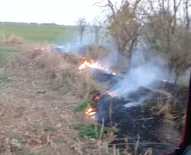 incendio campo