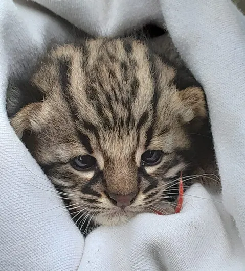 WhatsApp Image 2024-05-13 at 09.26.07