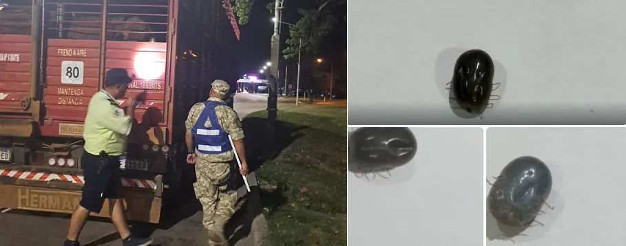 WhatsApp Image 2026-02-05 at 01.57.45