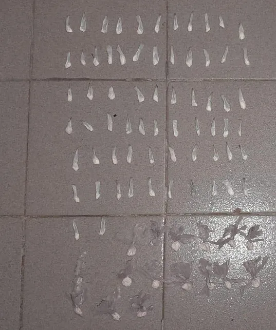 WhatsApp Image 2024-05-09 at 21.36.06