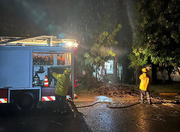 palmera bomberos lluvia