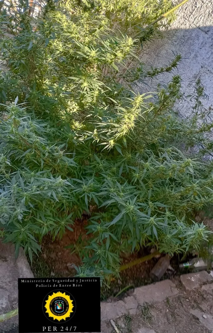 WhatsApp Image 2024-06-28 at 20.34.53