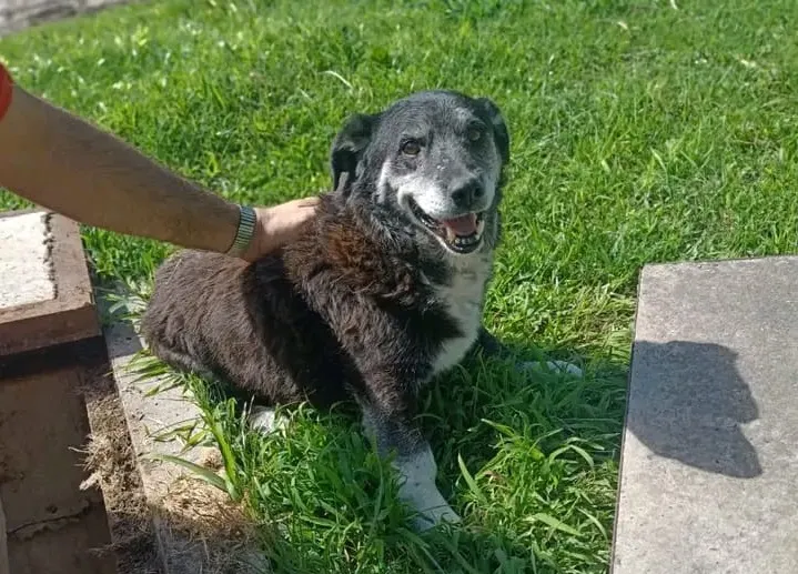 WhatsApp Image 2025-12-25 at 18.57.19