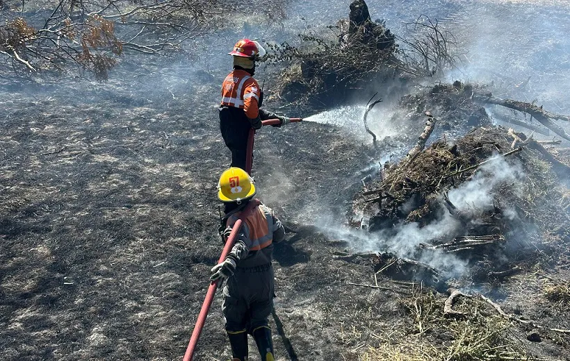 WhatsApp Image 2024-12-28 at 20.30.47