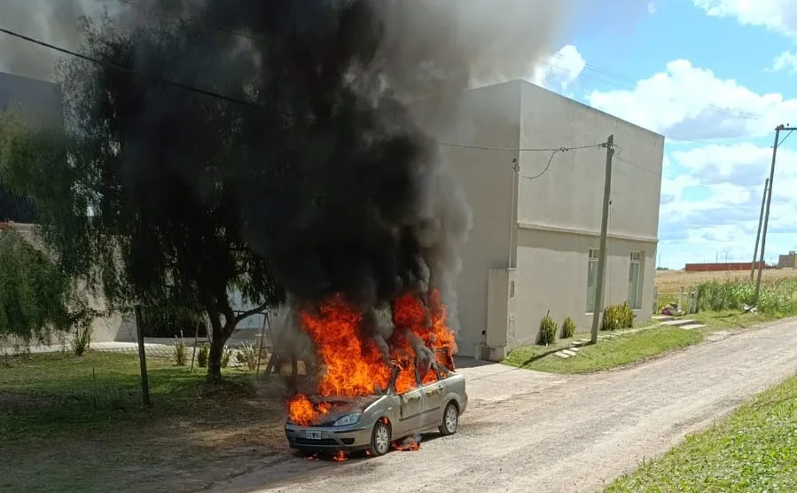 WhatsApp Image 2025-11-09 at 16.49.14