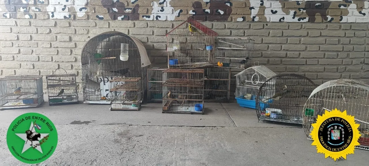 WhatsApp Image 2024-12-12 at 20.47.01