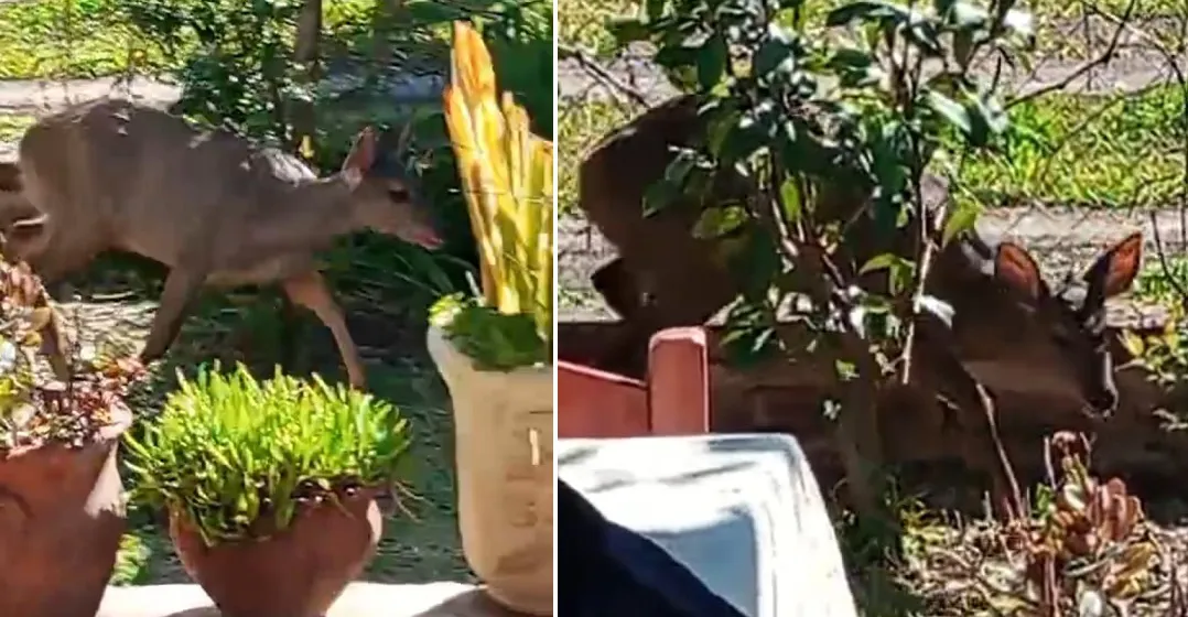 WhatsApp Image 2024-09-03 at 13.32.53