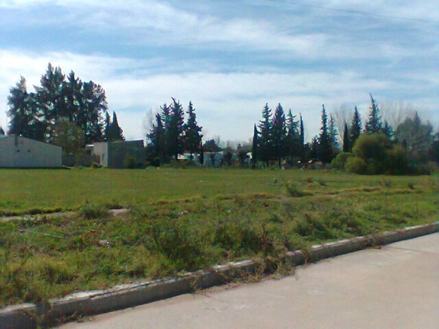 Futura escuela 1