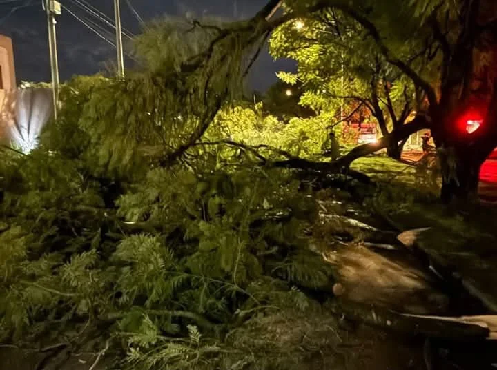 WhatsApp Image 2026-04-04 at 09.33.10 (1)