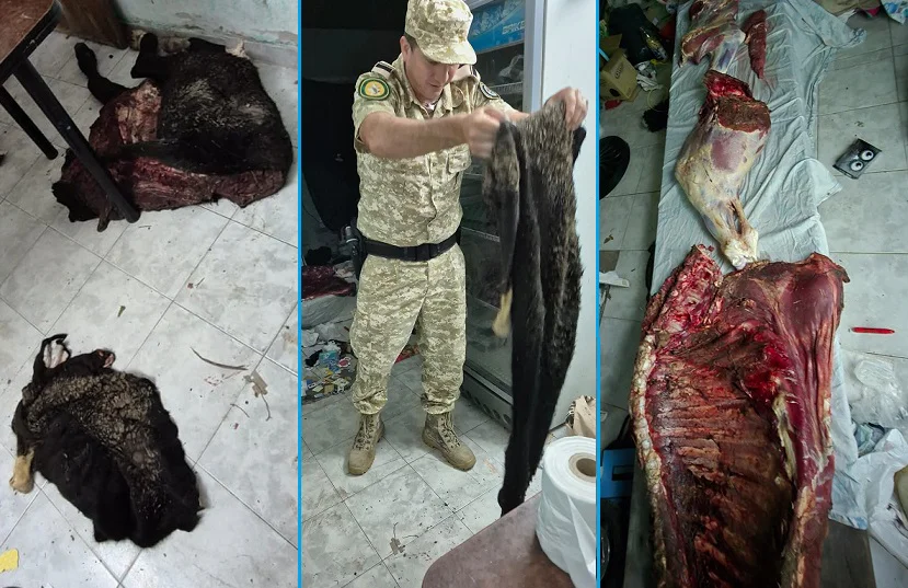 WhatsApp Image 2026-04-08 at 20.54.10 (2)