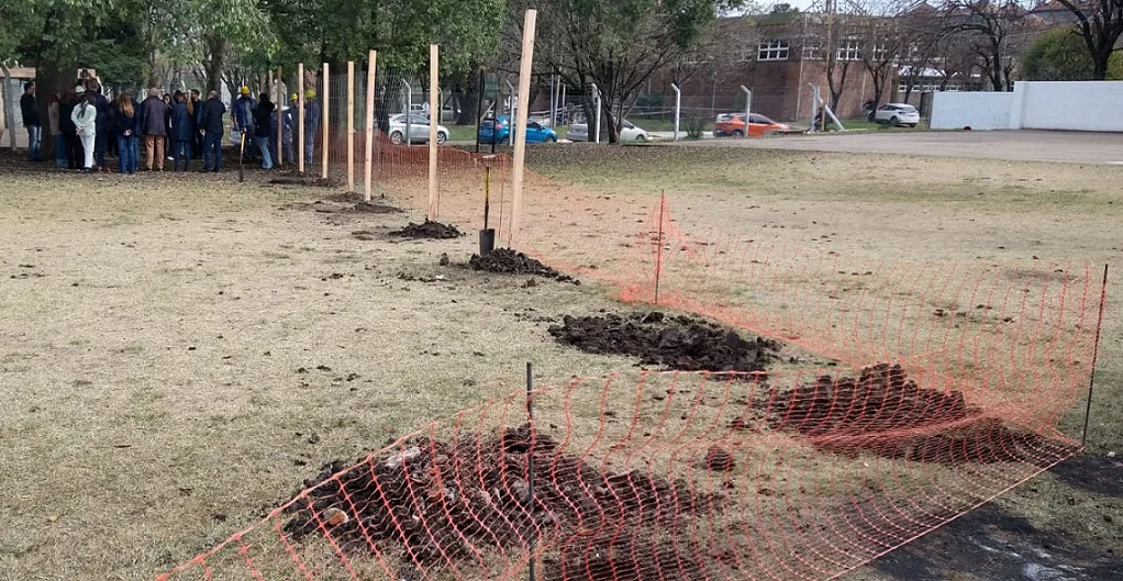 WhatsApp Image 2026-06-12 at 09.16.41