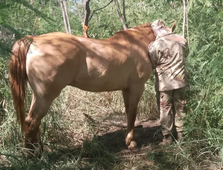 WhatsApp Image 2025-01-14 at 11.34.25