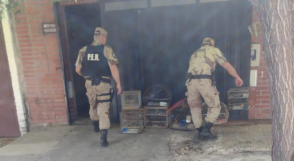 WhatsApp Image 2024-12-12 at 20.47.01 (2)