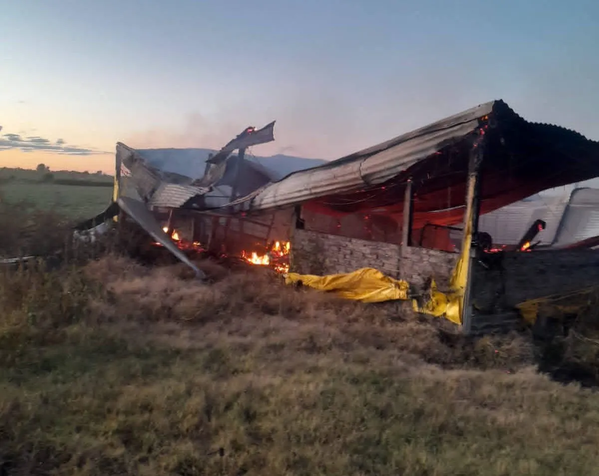 FB_IMG_1771251458696~2