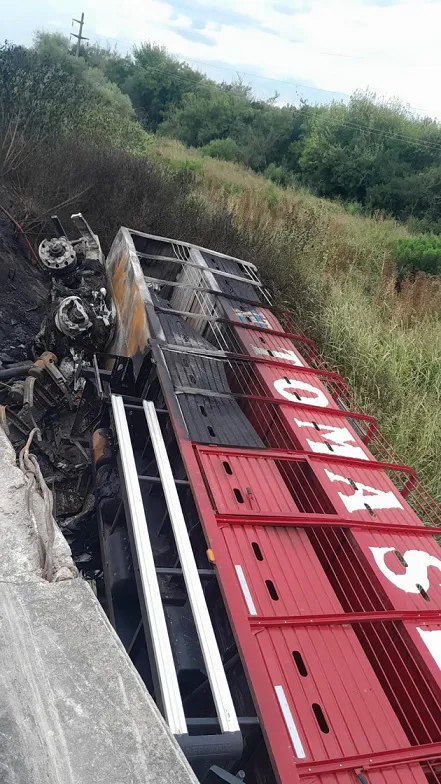 WhatsApp Image 2026-01-26 at 16.59.02 (1)