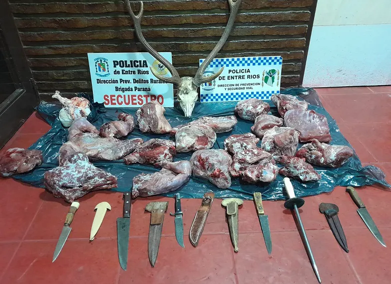 WhatsApp Image 2024-05-07 at 09.31.32