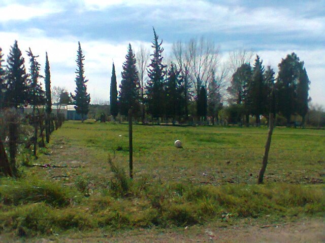 Futuro jardín 1