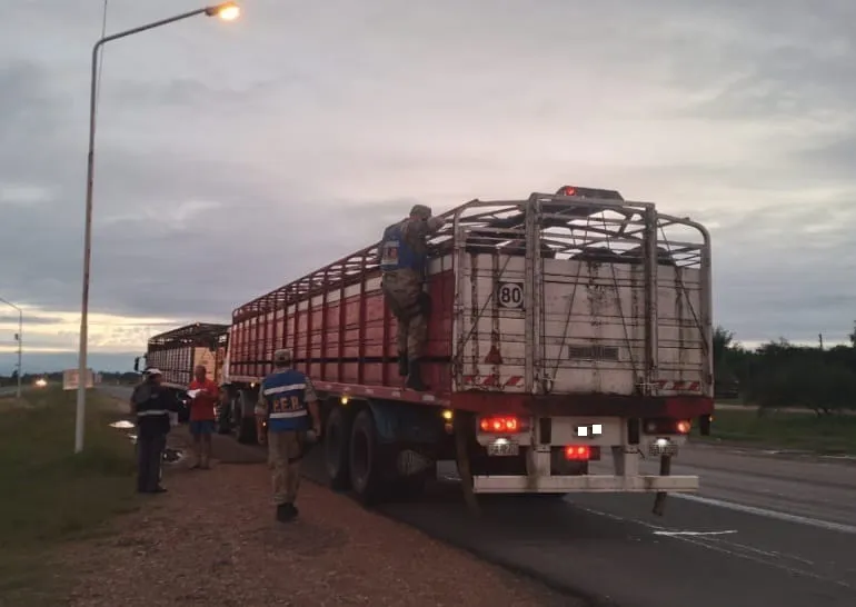 WhatsApp Image 2025-04-04 at 17.37.01