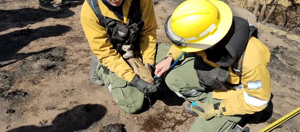 WhatsApp Image 2024-09-28 at 12.09.36