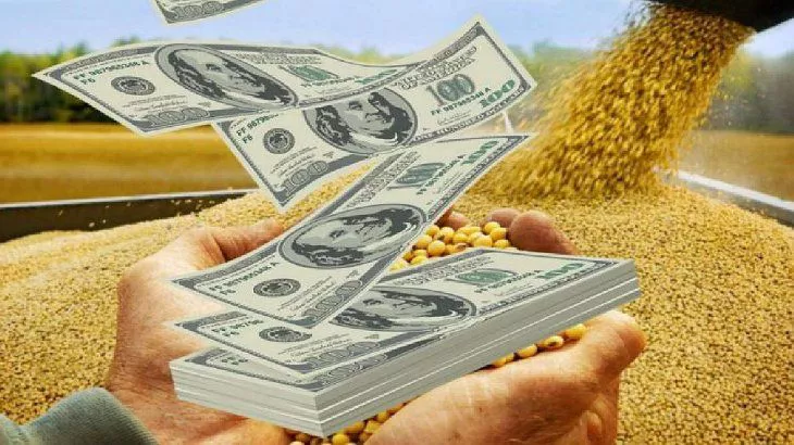 dolares-campo-soja-agrodolaresjpg