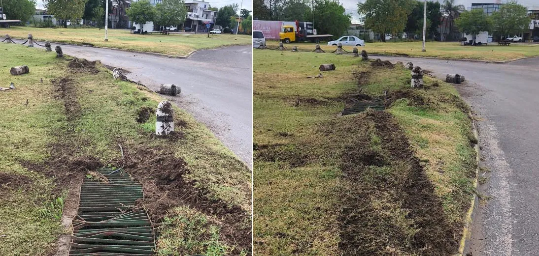 WhatsApp Image 2026-01-10 at 11.26.15