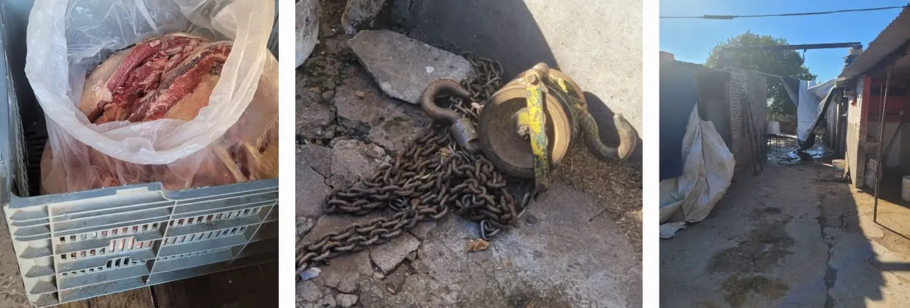 WhatsApp Image 2025-08-21 at 21.35.24