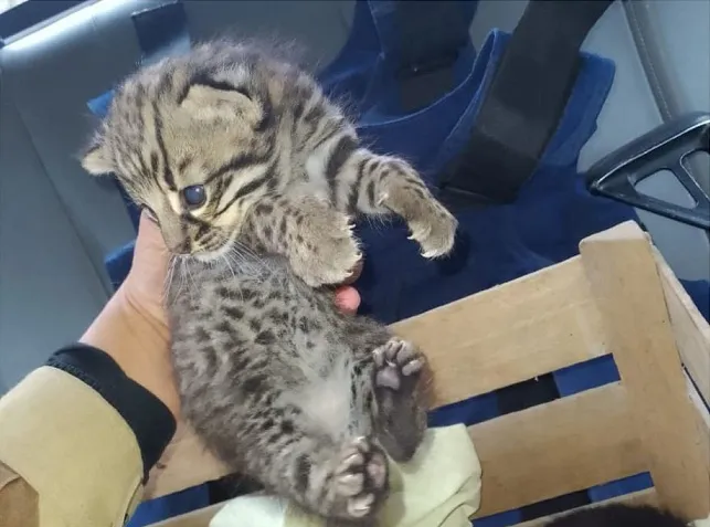 WhatsApp Image 2024-05-13 at 09.26.06