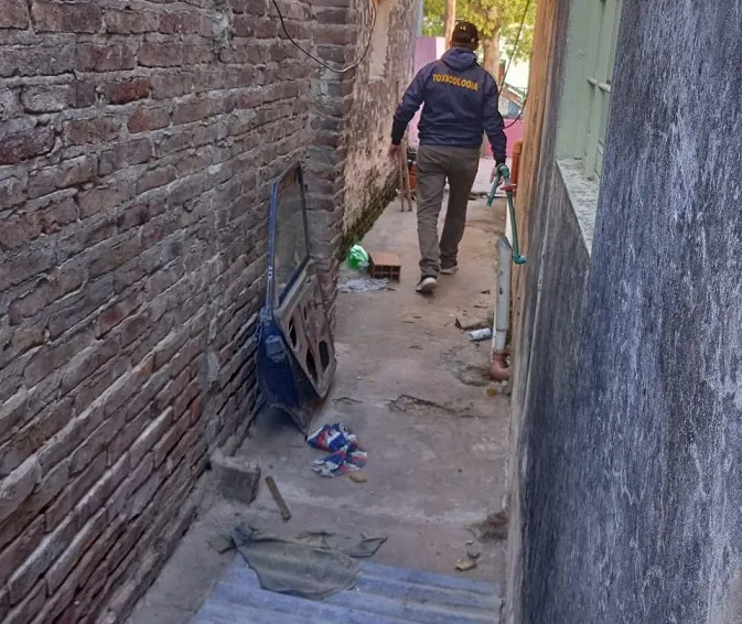 WhatsApp Image 2024-05-09 at 21.37.24(1)