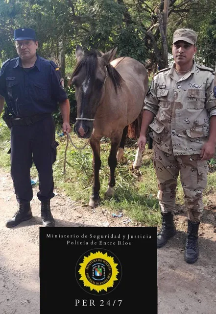 WhatsApp Image 2024-03-18 at 20.21.49(1)