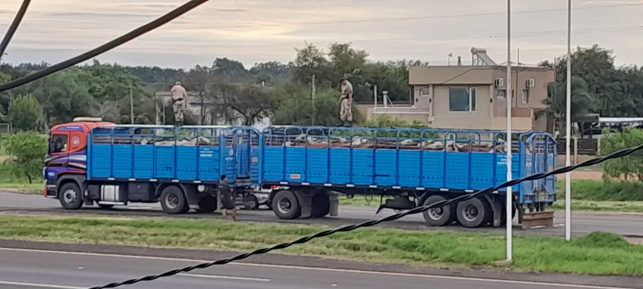 WhatsApp Image 2025-04-04 at 17.37.02 (1)