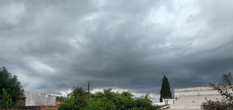 WhatsApp Image 2024-03-17 at 10.22.01