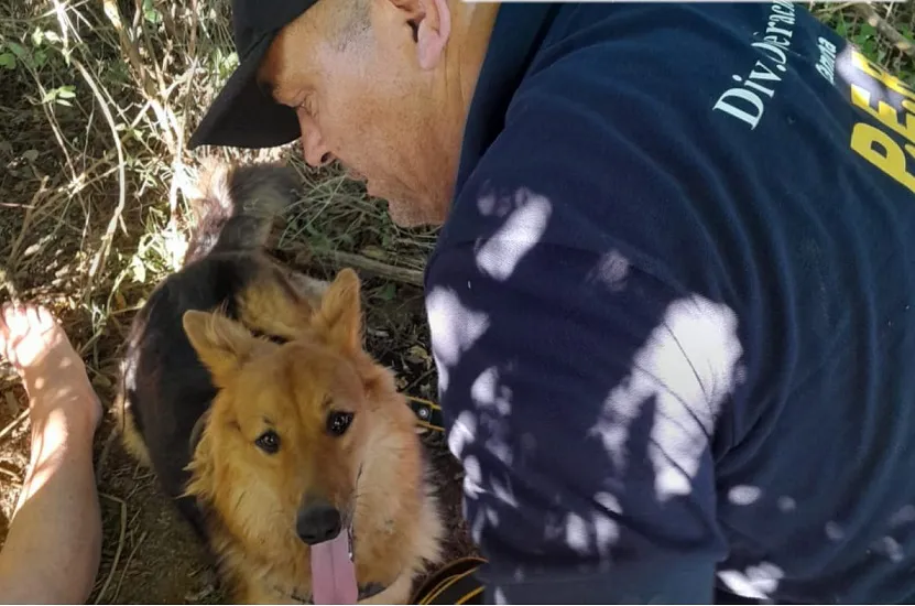 WhatsApp Image 2026-02-08 at 20.45.02