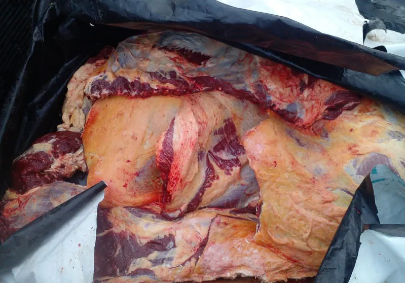 WhatsApp Image 2024-05-04 at 13.25.46